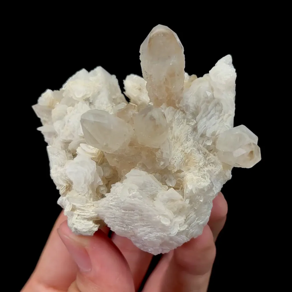 specimen video