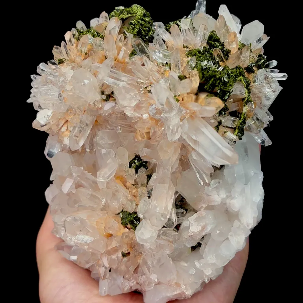 specimen video