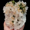 specimen video