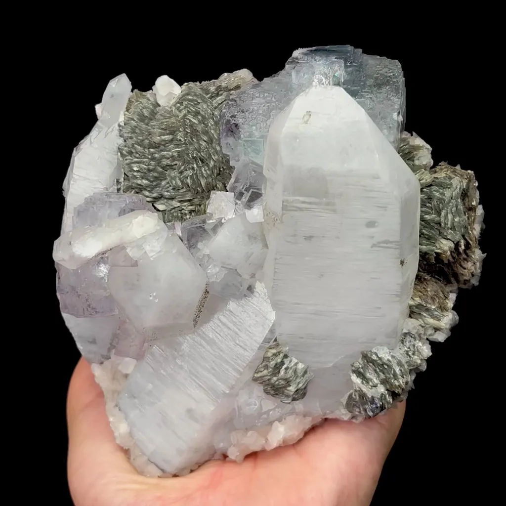 specimen video