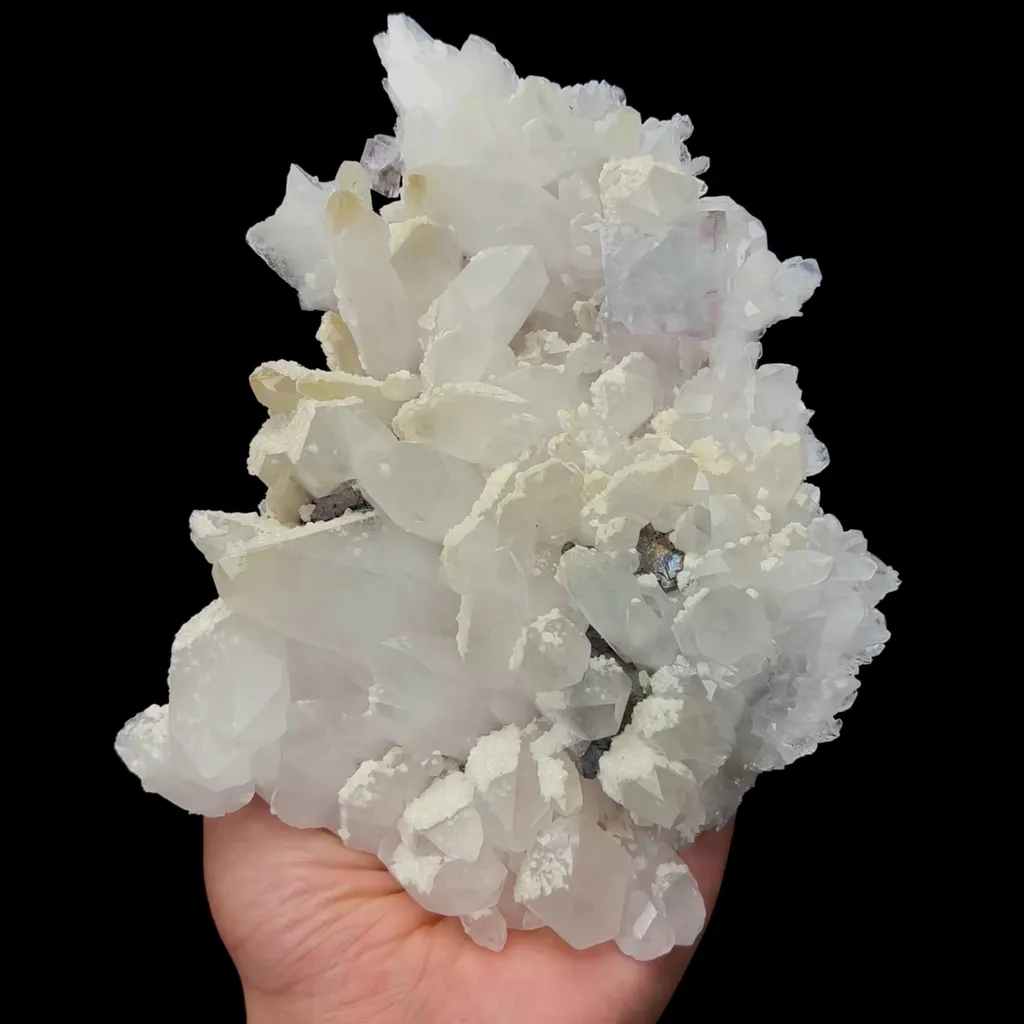 specimen video