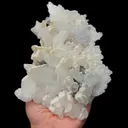 specimen video