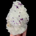 specimen video