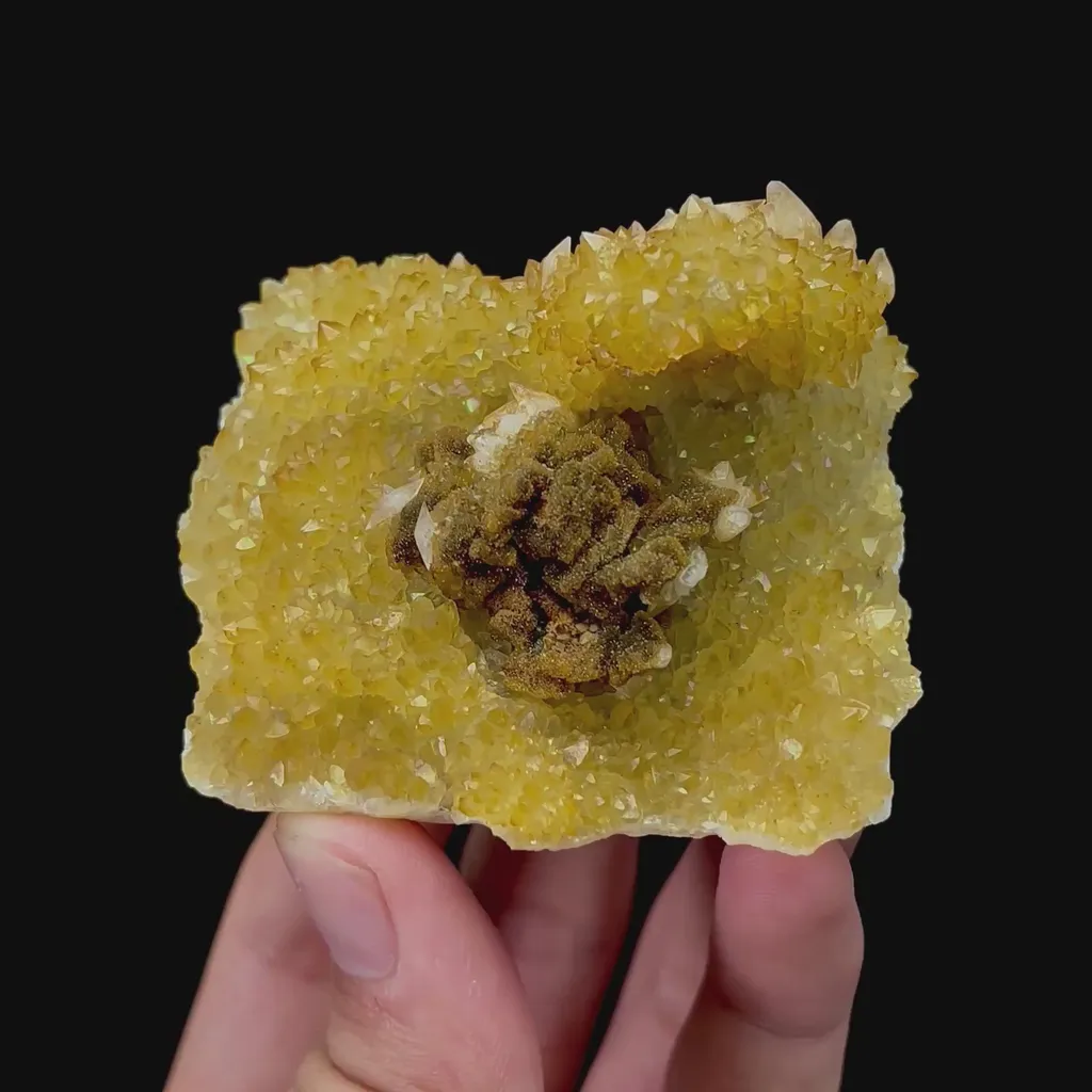 specimen video