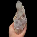 specimen video