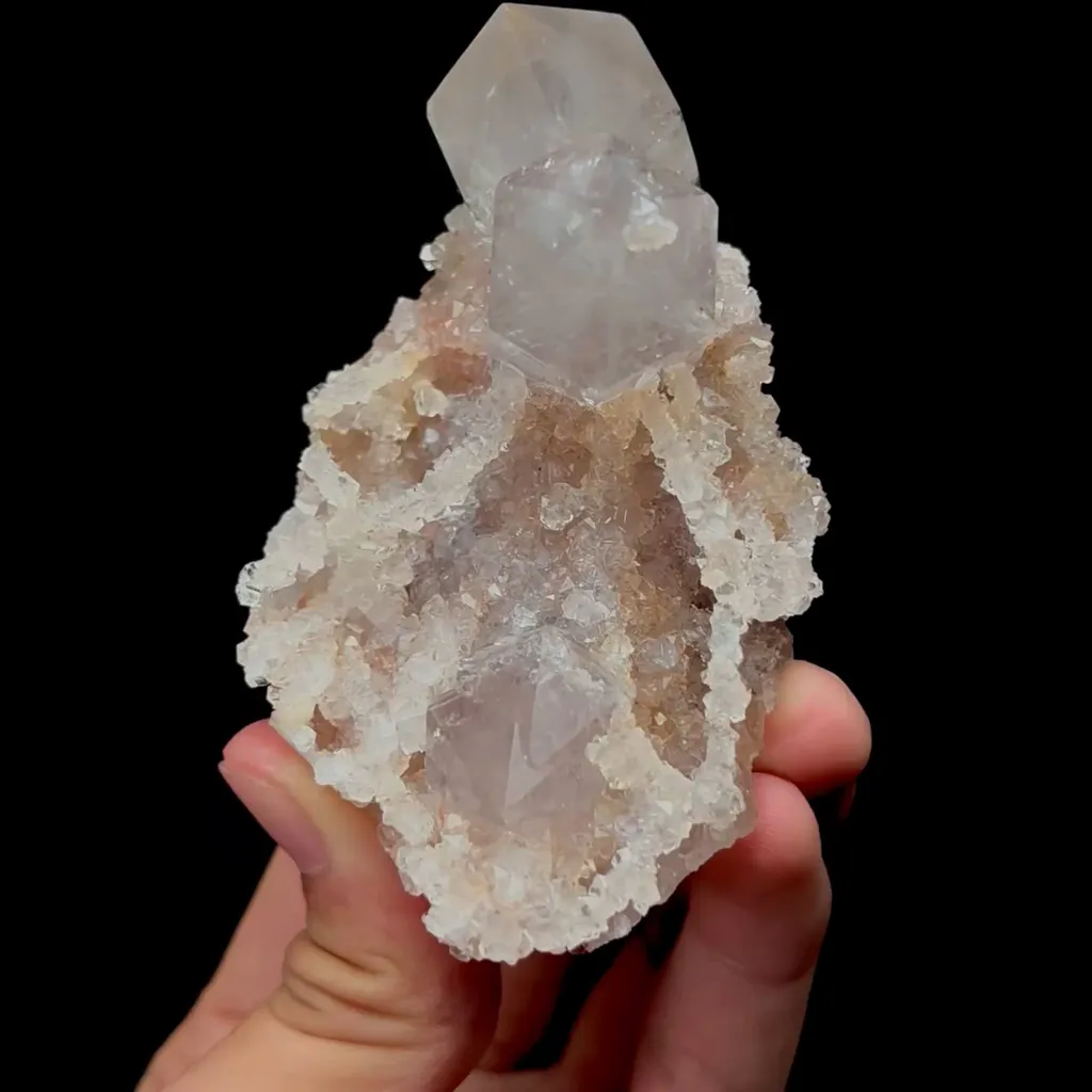 specimen video