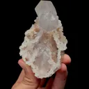 specimen video