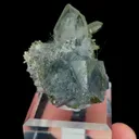 specimen video