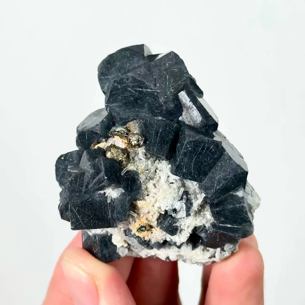 specimen video