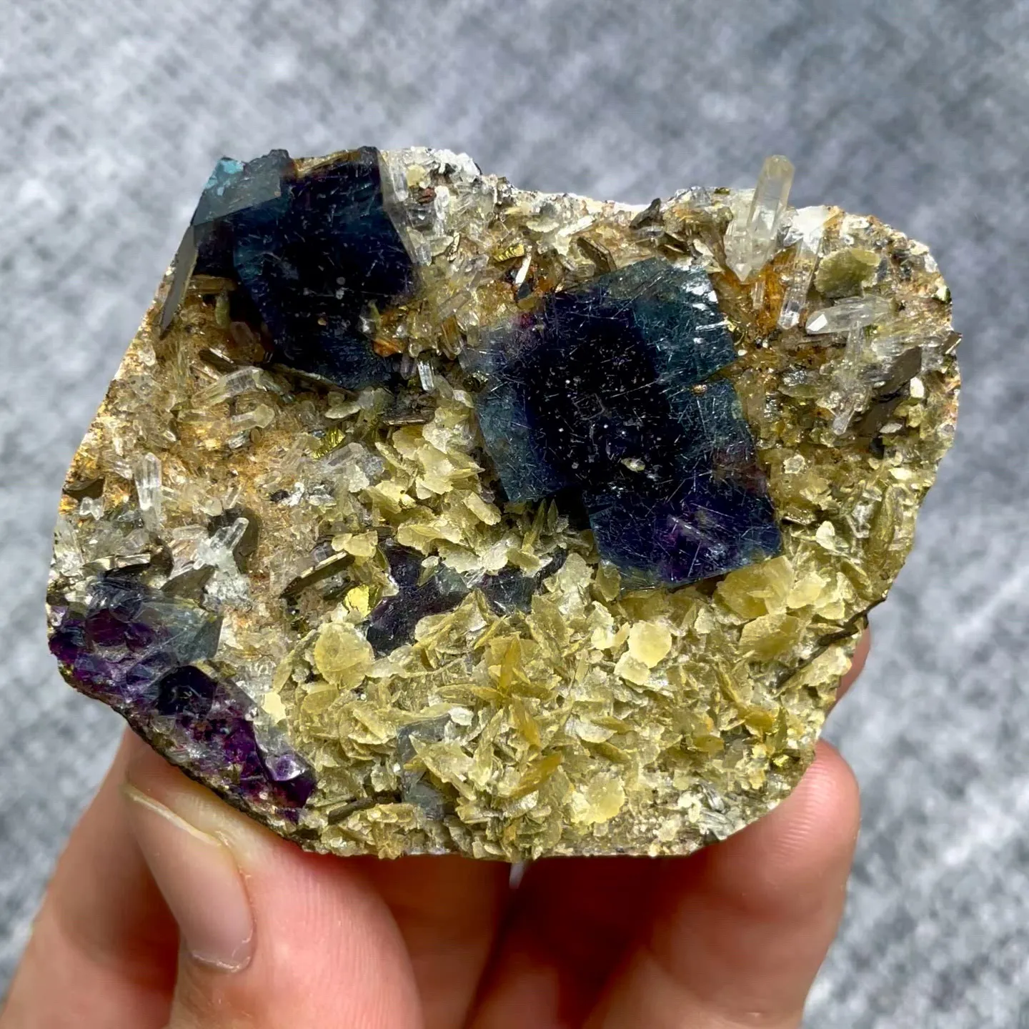 specimen video