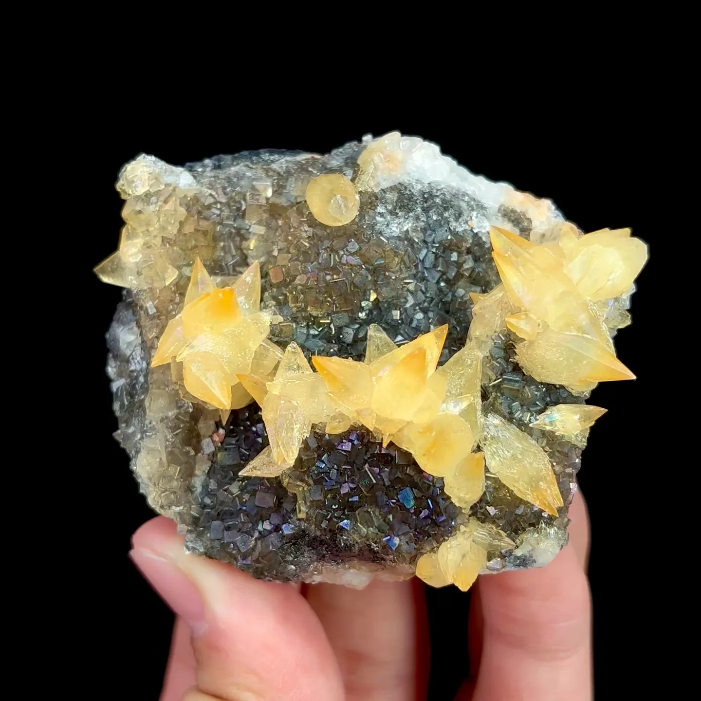 specimen video
