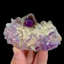 specimen video