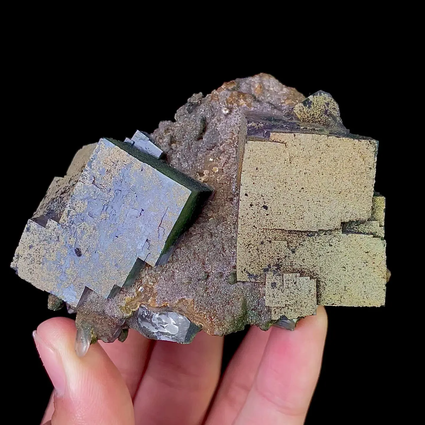 specimen video