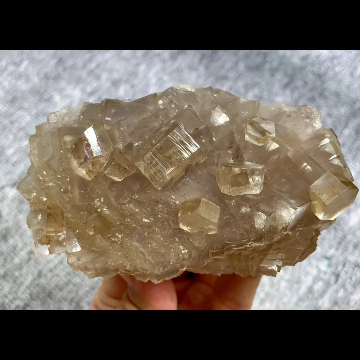 specimen video