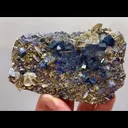 specimen video