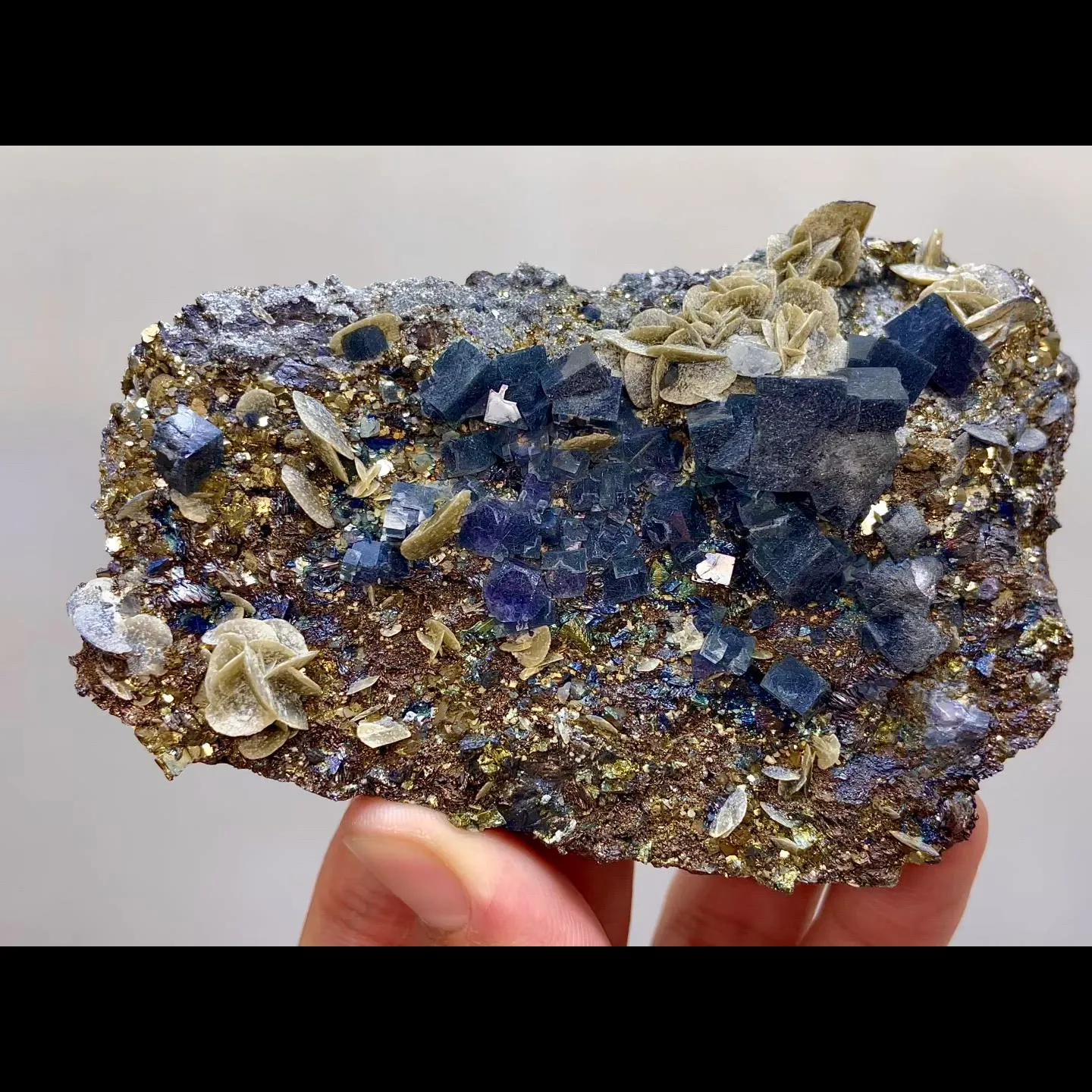 specimen video