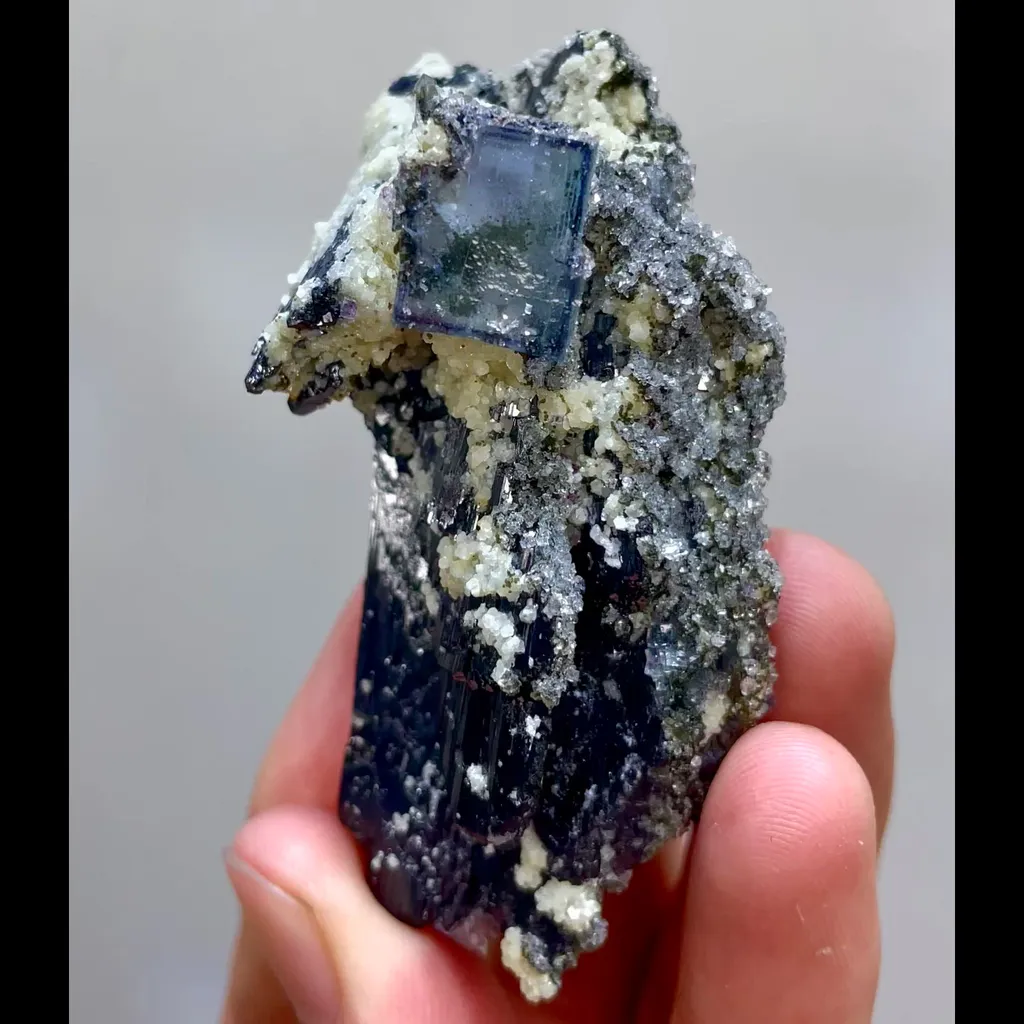 specimen video