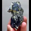 specimen video
