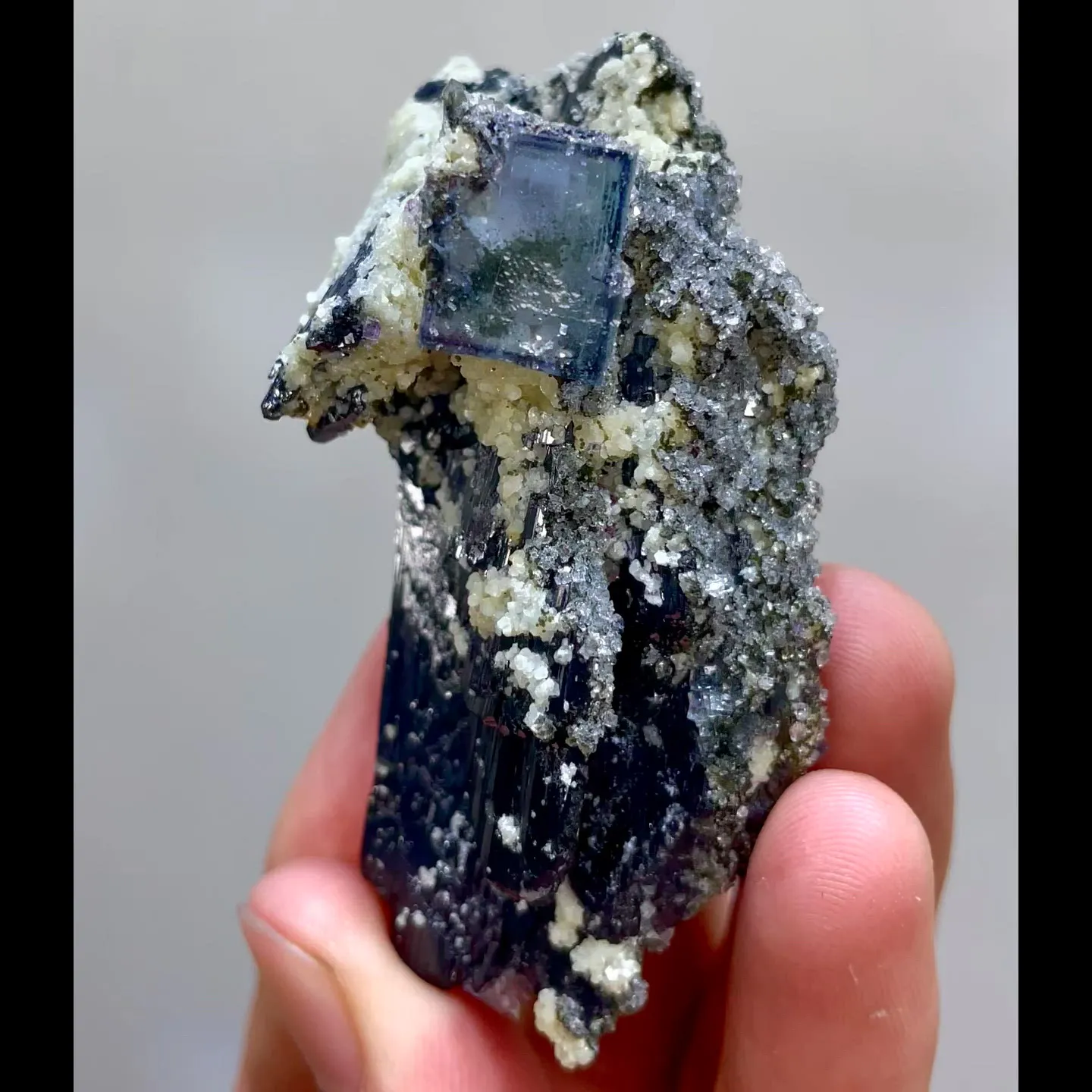 specimen video