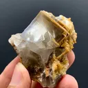 specimen video