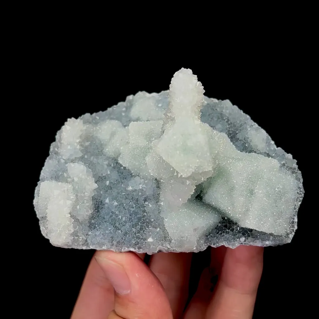specimen video