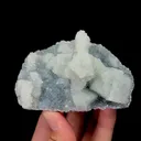 specimen video