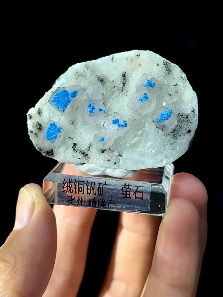 Natural Cyanotrichite Coexisting With Fluorite comes from Qinglong,Guizhou 55*20*35MM - image 2