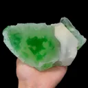 specimen video