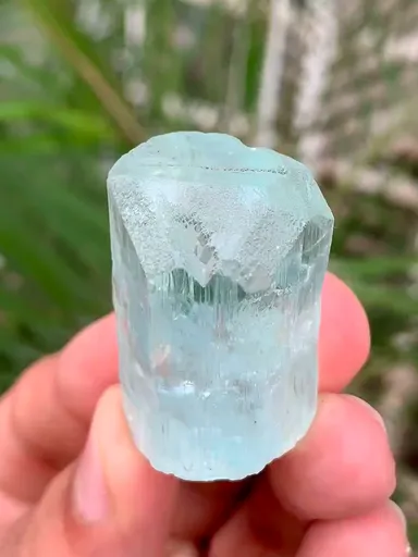 specimen video