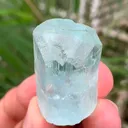 specimen video