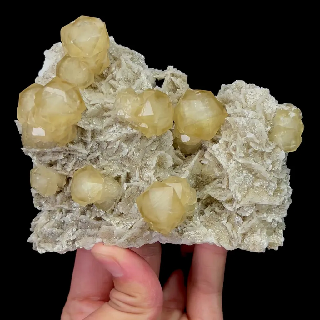 specimen video