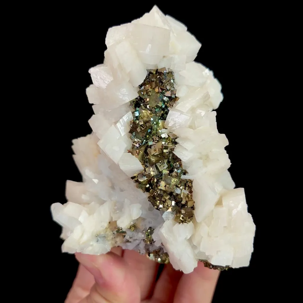 specimen video