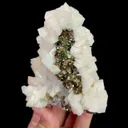 specimen video