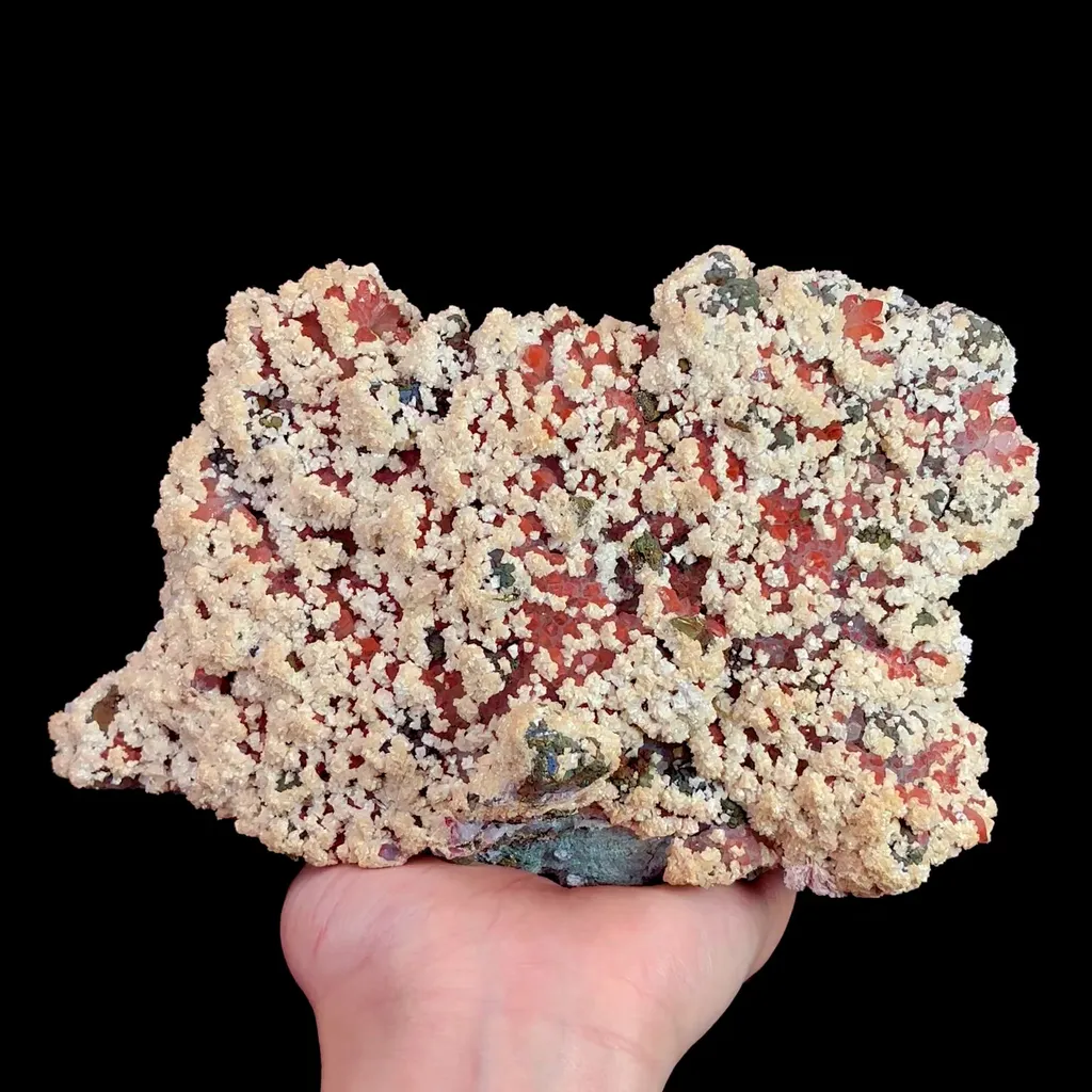 specimen video