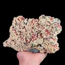 specimen video