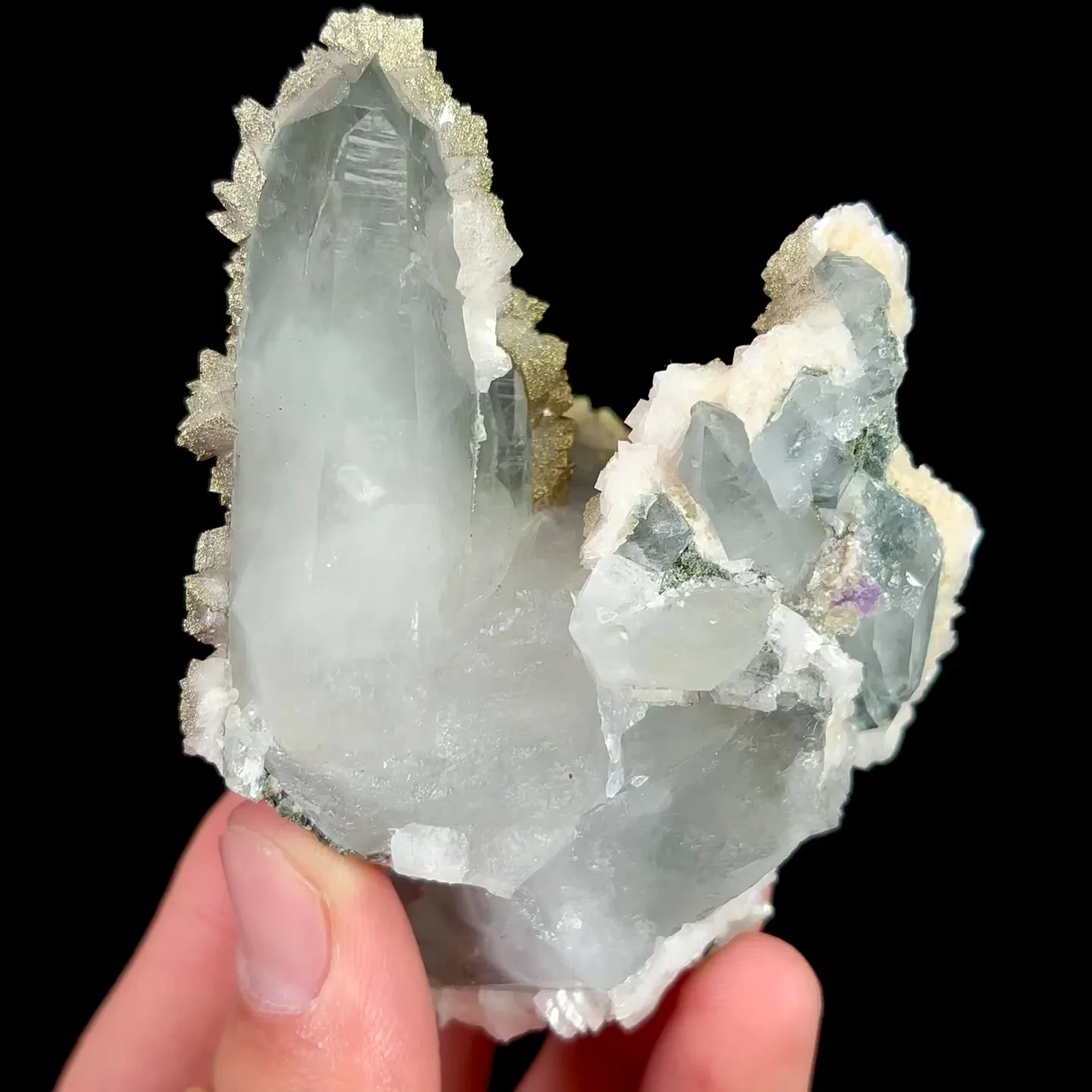 specimen video