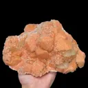 specimen video