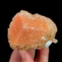 specimen video
