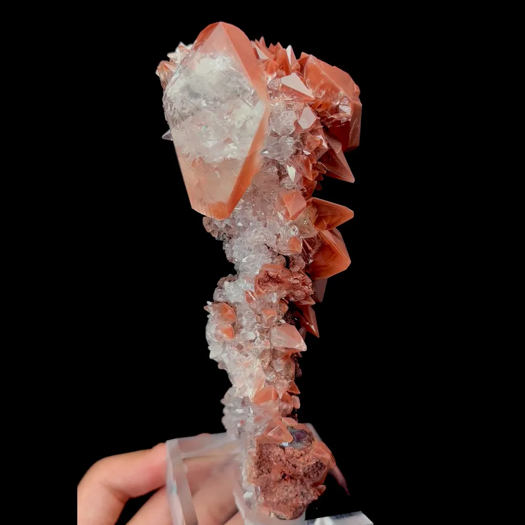 specimen video