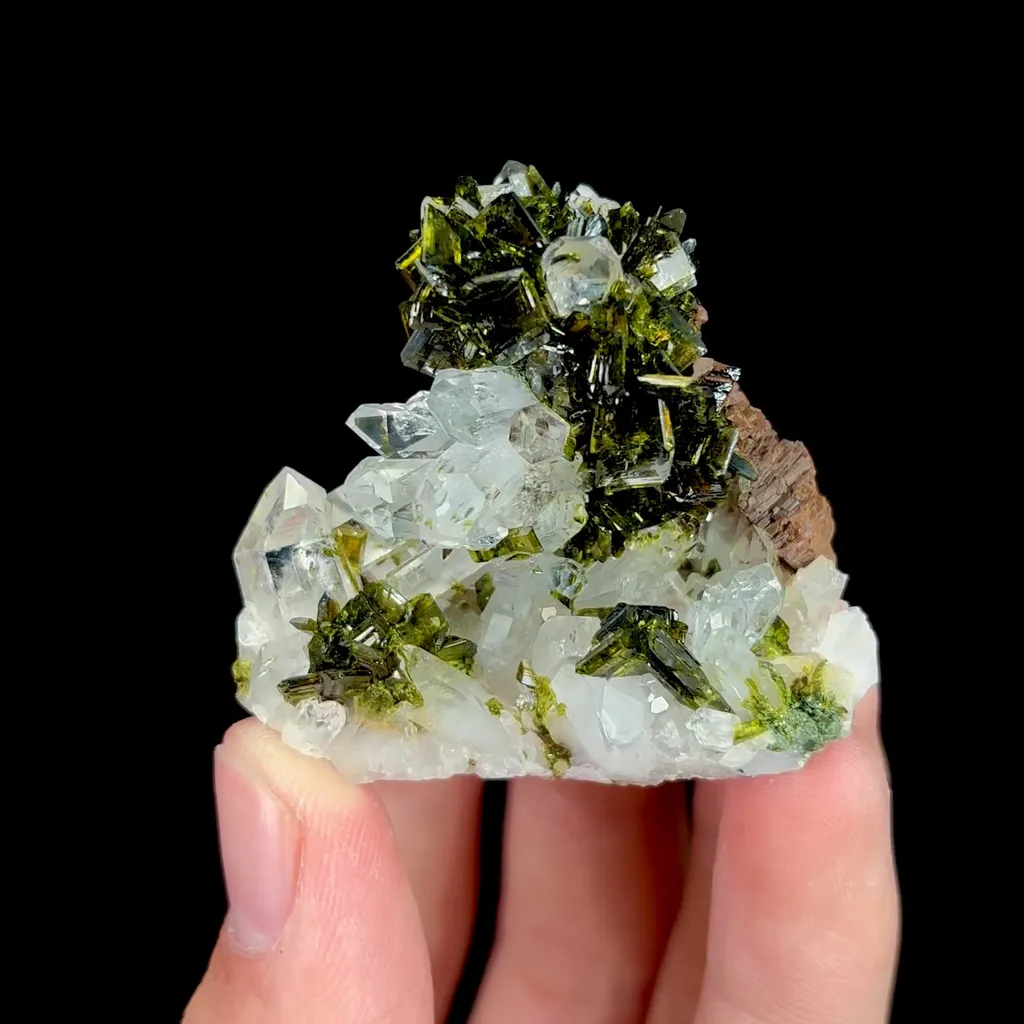 specimen video