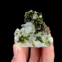 specimen video
