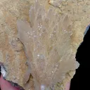 Natural Feather Calcite, Mineral Specimen:Guizhou,China (210*250*100MM) - image 3