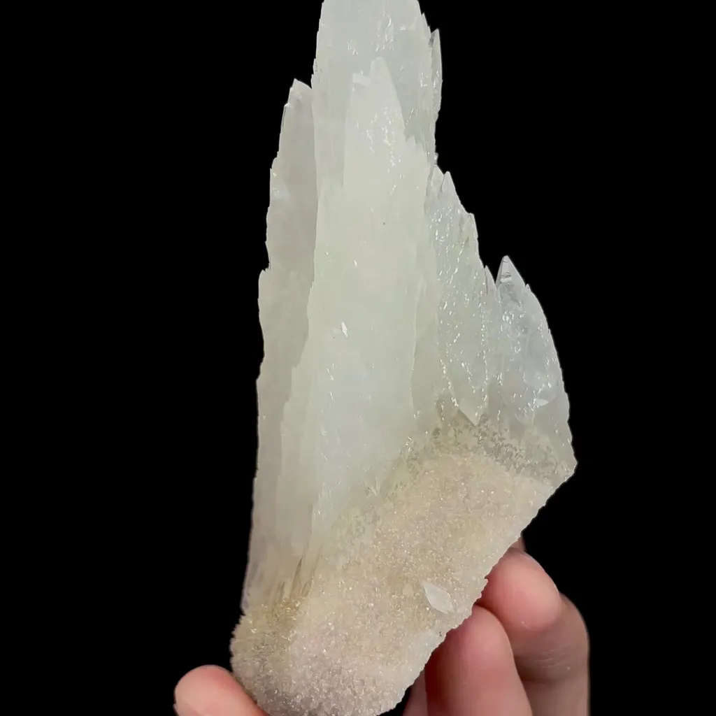 specimen video