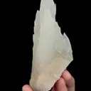 specimen video