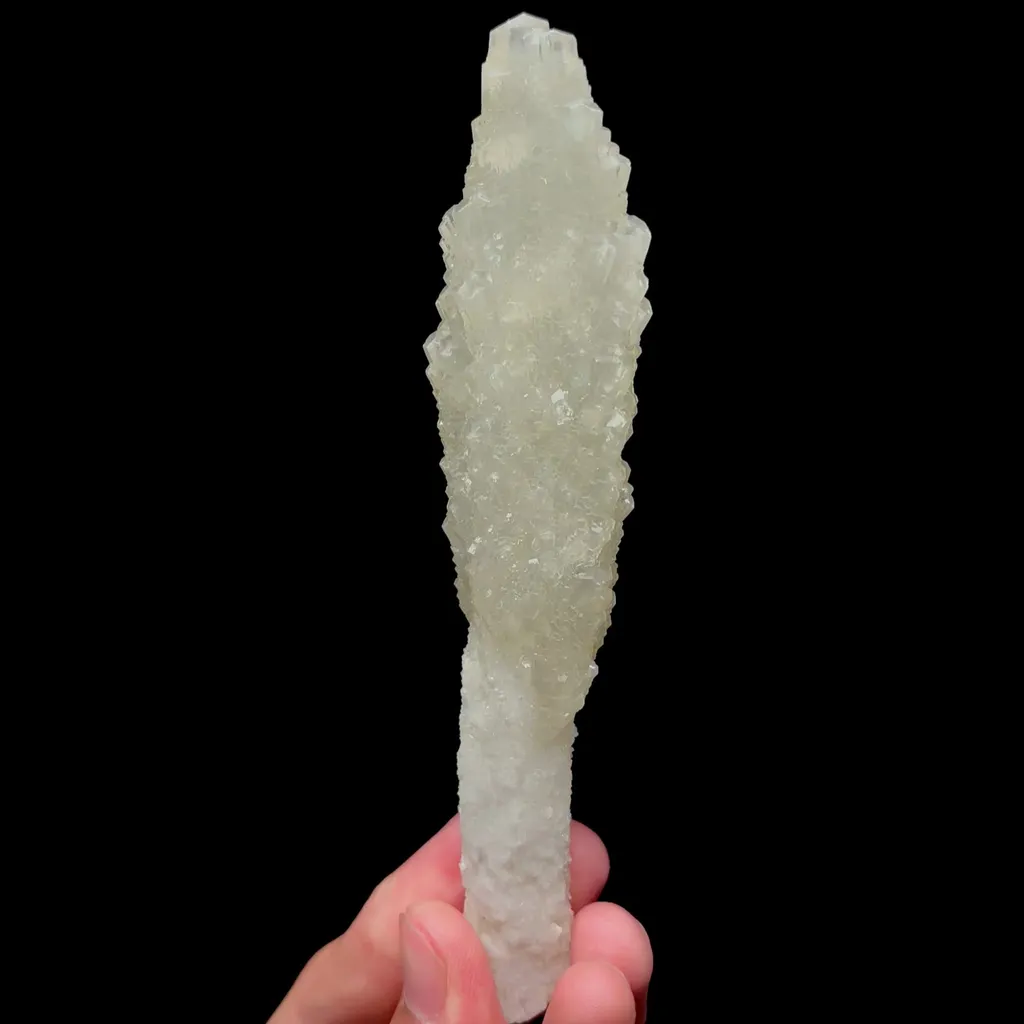 specimen video