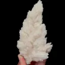 specimen video
