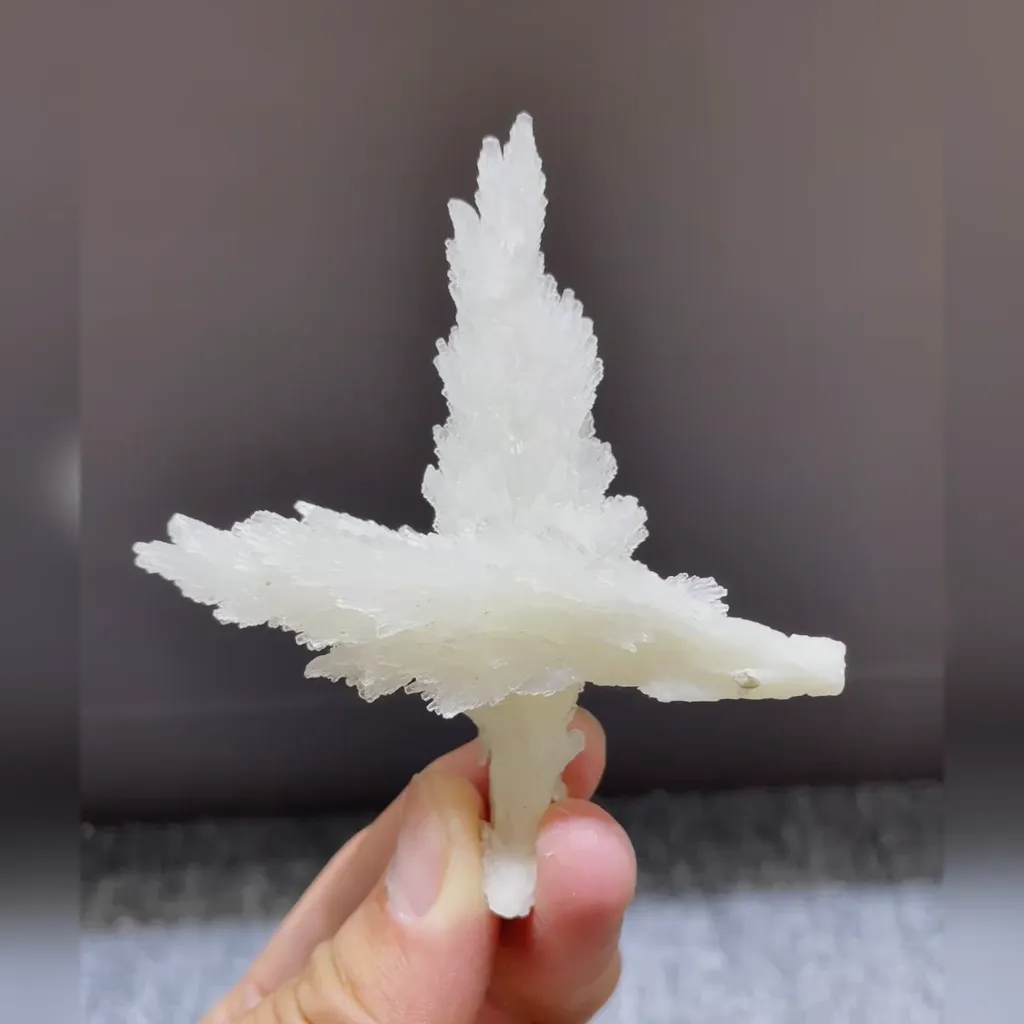 Natural Feather Gypsum comes from Guizhou,China 85*75*40MM image