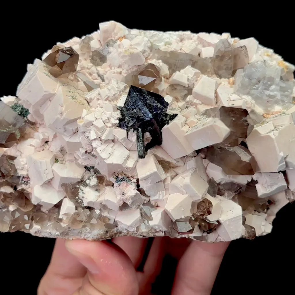 specimen video