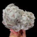 Natural Fish Scale Calcite and Pyrite Mineral Specimen,High Quality Specimen,CHENZHOU,HUNAN,CHINA(125*96*77mm) - image 1