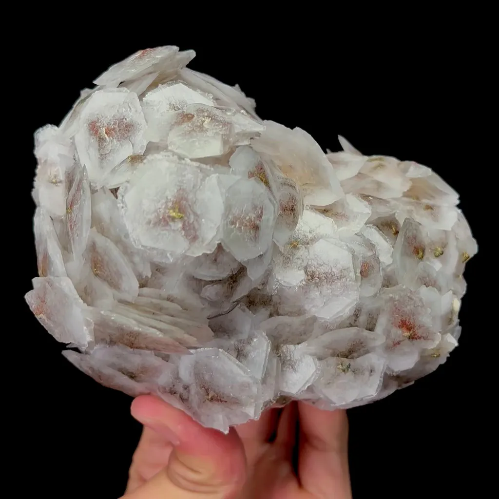 specimen video